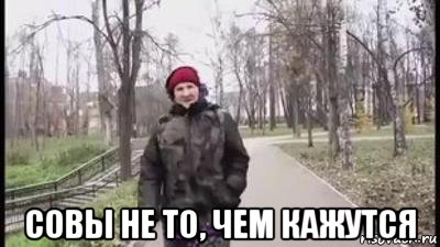  совы не то, чем кажутся, Мем Я думала сова