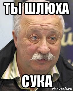 ты шлюха сука, Мем yakubovich