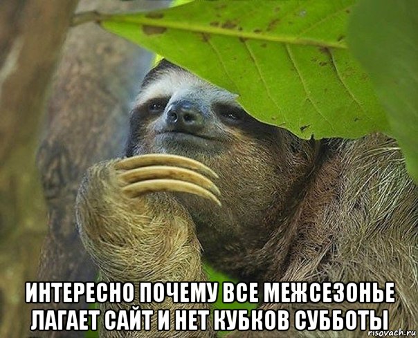  интересно почему все межсезонье лагает сайт и нет кубков субботы, Мем Задумчивый ленивец