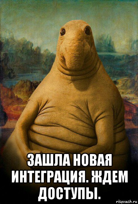  зашла новая интеграция. ждем доступы.