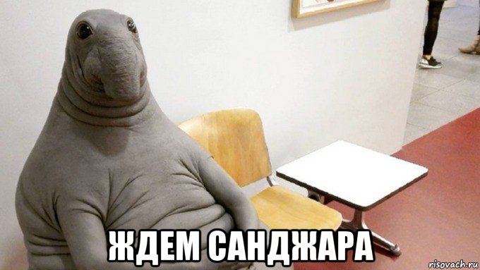  ждем санджара