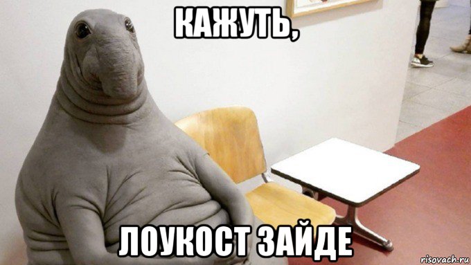 кажуть, лоукост зайде