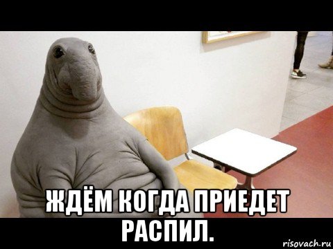  ждём когда приедет распил.