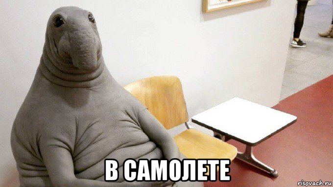  в самолете
