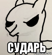  сударь, Мем Злая понь