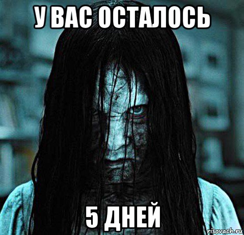 у вас осталось 5 дней