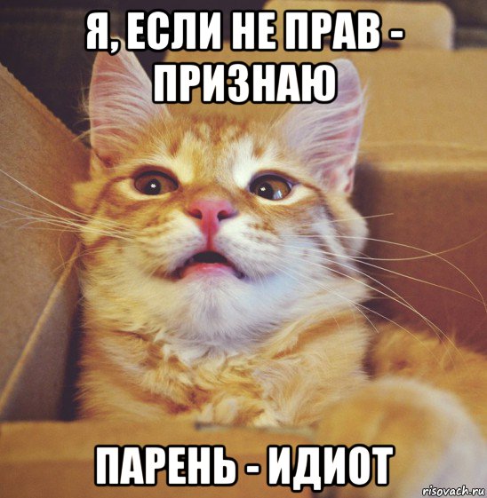 я, если не прав - признаю парень - идиот
