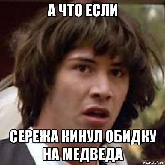 а что если сережа кинул обидку на медведа, Мем А что если (Киану Ривз)