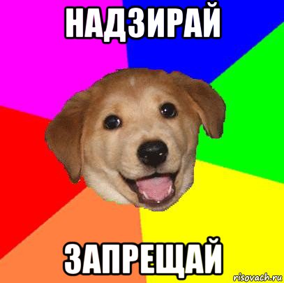 надзирай запрещай, Мем Advice Dog