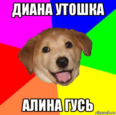 диана утошка алина гусь, Мем Advice Dog