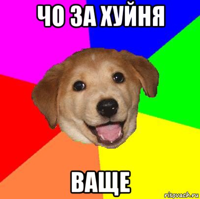 чо за хуйня ваще, Мем Advice Dog