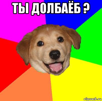 ты долбаёб ? , Мем Advice Dog