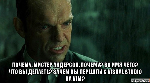  почему, мистер андерсон, почему? во имя чего? что вы делаете? зачем вы перешли с visual studio на vim?