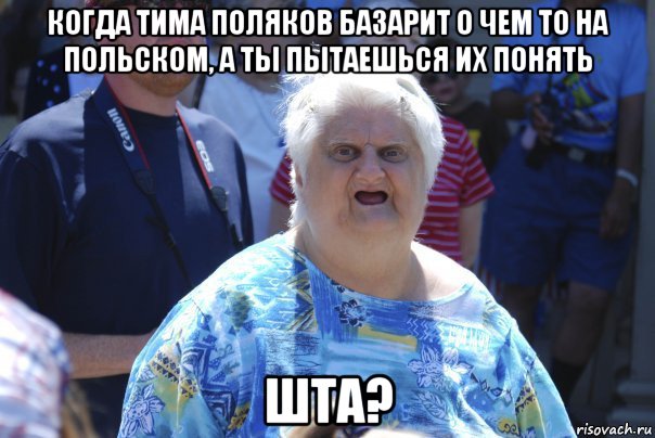 когда тима поляков базарит о чем то на польском, а ты пытаешься их понять шта?, Мем Шта (Бабка wat)