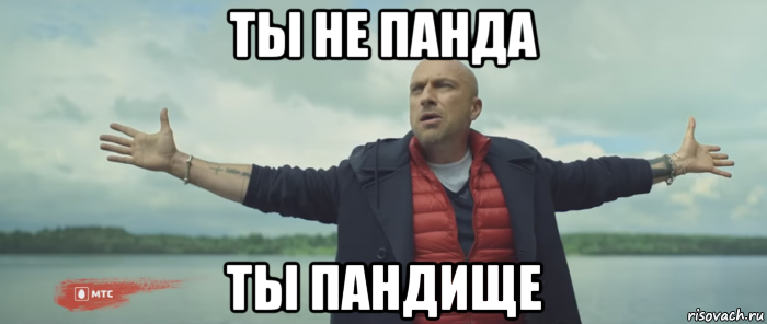 ты не панда ты пандище