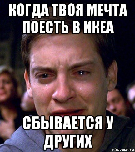 когда твоя мечта поесть в икеа сбывается у других