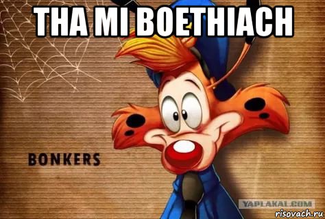 tha mi boethiach , Мем Bonkers
