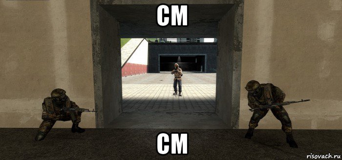 см см