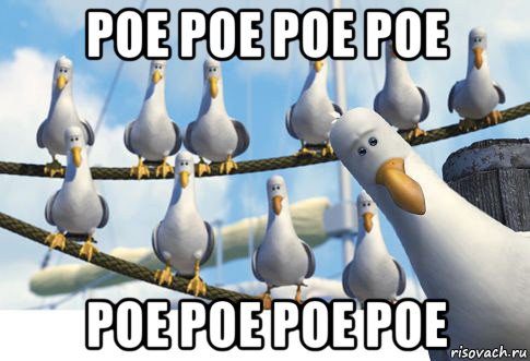 poe poe poe poe poe poe poe poe