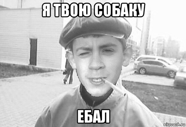 я твою собаку ебал