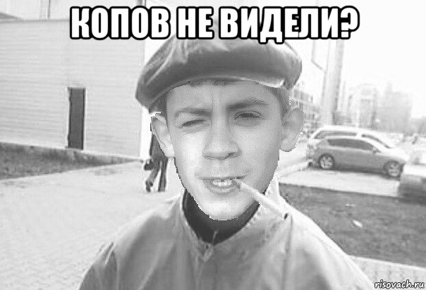 копов не видели? 