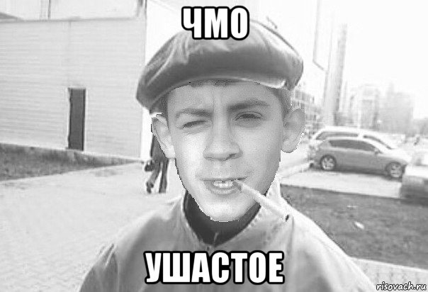 чмо ушастое