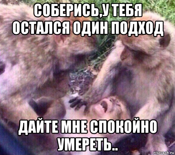 соберись,у тебя остался один подход дайте мне спокойно умереть.., Мем Дайте мне спокойно умереть
