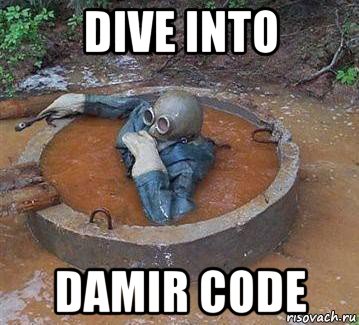 dive into damir code