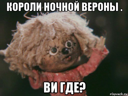 короли ночной вероны . ви где?