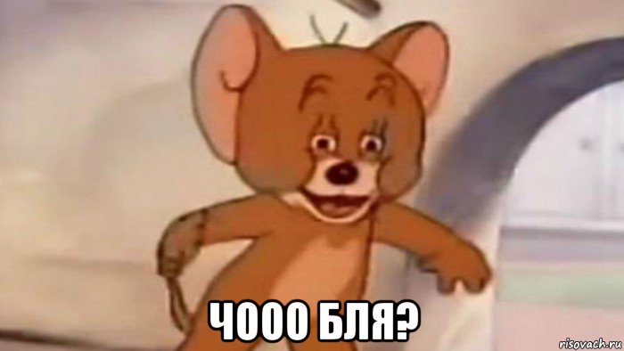  чооо бля?
