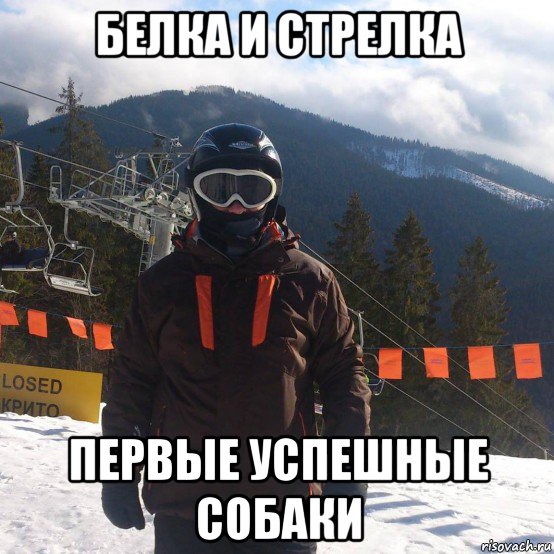 белка и стрелка первые успешные собаки