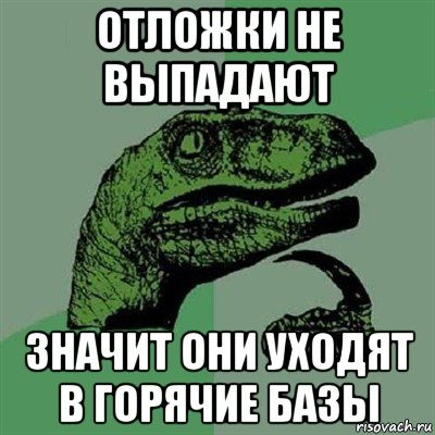 отложки не выпадают значит они уходят в горячие базы, Мем Филосораптор