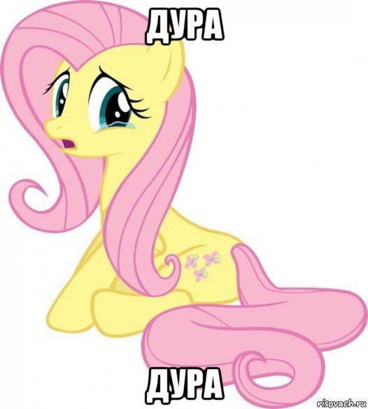 дура дура