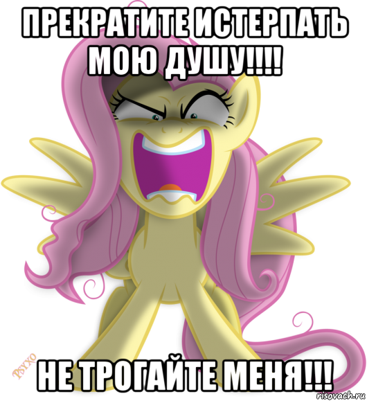 прекратите истерпать мою душу!!!! не трогайте меня!!!