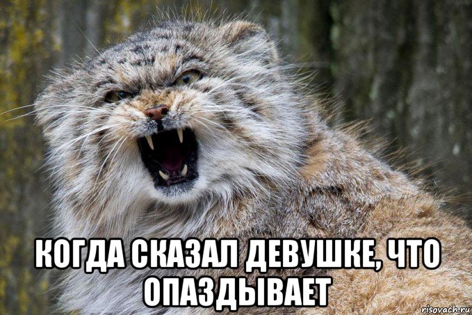  когда сказал девушке, что опаздывает, Мем Где зарплата