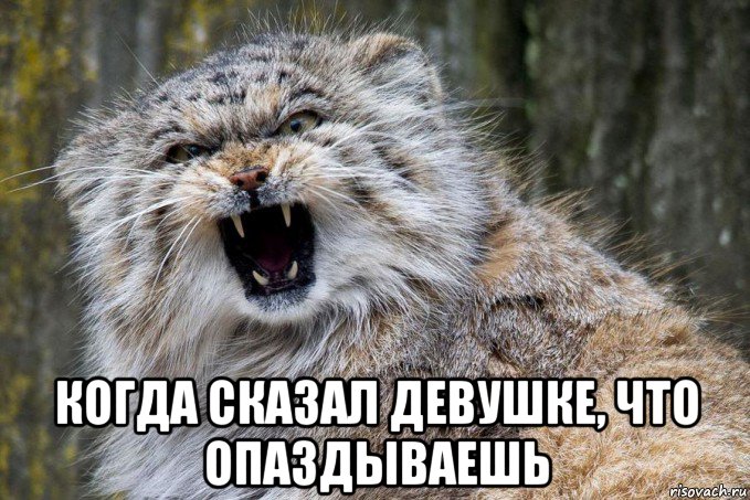  когда сказал девушке, что опаздываешь, Мем Где зарплата