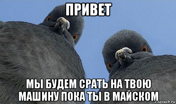 привет мы будем срать на твою машину пока ты в майском