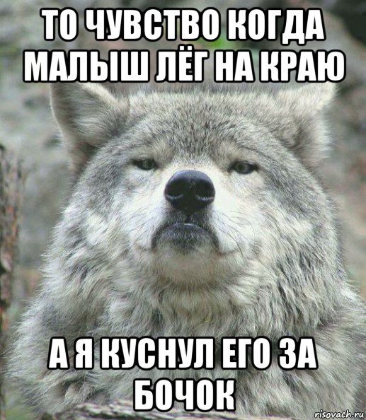 то чувство когда малыш лёг на краю а я куснул его за бочок, Мем    Гордый волк