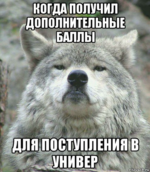 когда получил дополнительные баллы для поступления в универ, Мем    Гордый волк