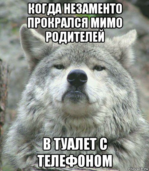 когда незаменто прокрался мимо родителей в туалет с телефоном, Мем    Гордый волк