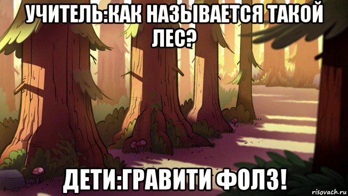 учитель:как называется такой лес? дети:гравити фолз!, Мем Гравити фолз
