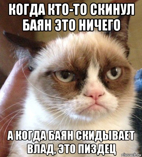 когда кто-то скинул баян это ничего а когда баян скидывает влад, это пиздец, Мем Грустный (сварливый) кот