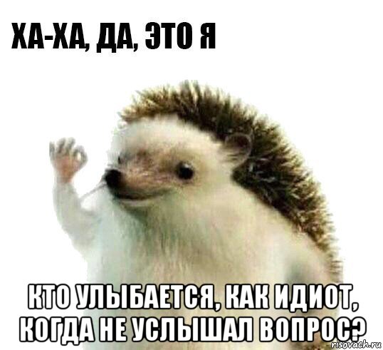  кто улыбается, как идиот, когда не услышал вопрос?, Мем Ха-ха да это я