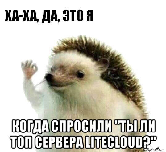  когда спросили "ты ли топ сервера litecloud?", Мем Ха-ха да это я