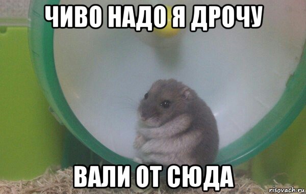 чиво надо я дрочу вали от сюда