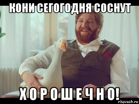 кони сегогодня соснут х о р о ш е ч н о!, Мем Хорошечно