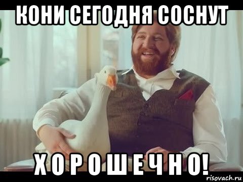 кони сегодня соснут х о р о ш е ч н о!, Мем Хорошечно
