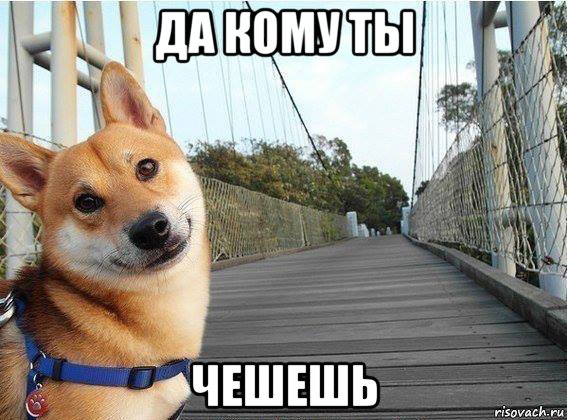 да кому ты чешешь