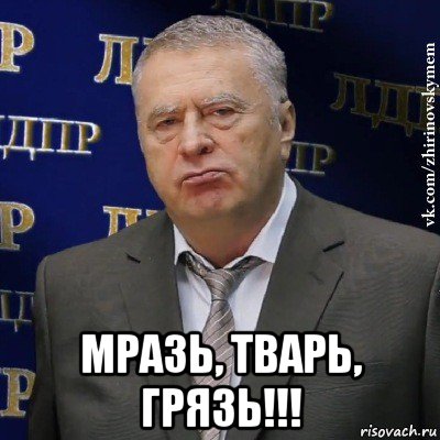  мразь, тварь, грязь!!!, Мем Хватит это терпеть (Жириновский)