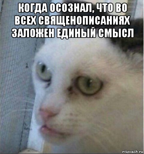 когда осознал, что во всех священописаниях заложен единый смысл , Мем Идешь мстить